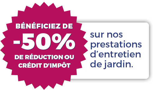 crédit 50% d'impôts 