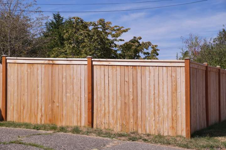 Une clôture paysagère au design contemporain, offrant intimité et esthétique, sintégrant harmonieusement dans le jardin.