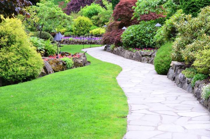 Un jardin paysager moderne avec des plantes luxuriantes, un chemin en pierre et un éclairage dambiance, idéal pour la détente en plein air.
