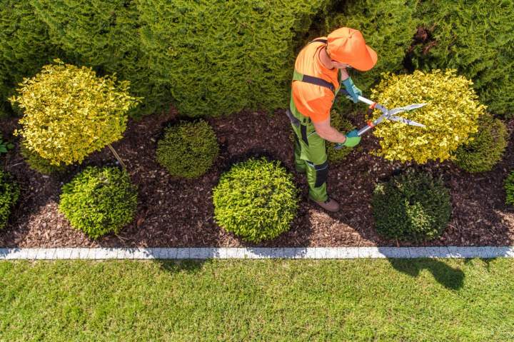 Savoir-faire en aménagement extérieur