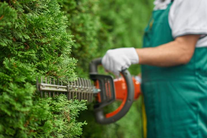 Création et entretien de jardins