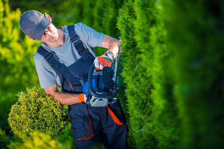 La taille de haie à Bourg-en-Bresse est essentielle pour maintenir un jardin esthétique et sain